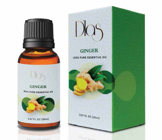 Ginger
(Zingiber o cinale)